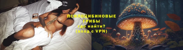 амф Липки