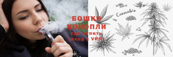 тгк Лиски