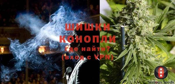 тгк Лиски