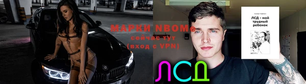 тгк Лиски