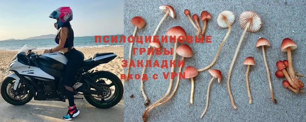 тгк Лиски