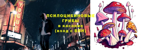 тгк Лиски