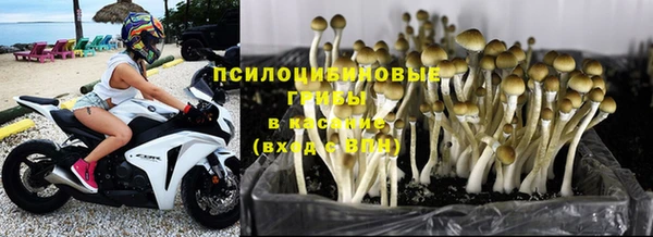 таблы Долгопрудный
