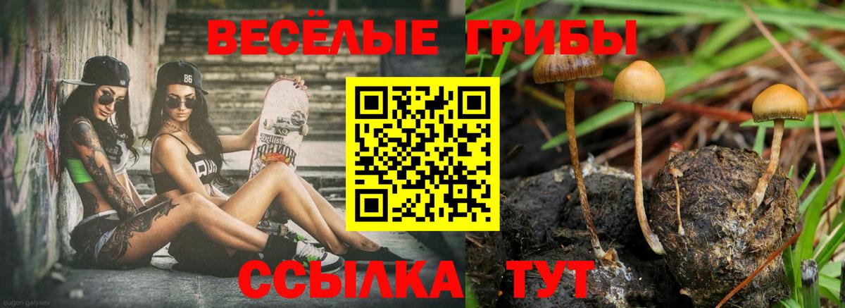 Люберцы  продажа наркотиков  Вход с VPN  Псилоцибиновые грибы мухоморы 